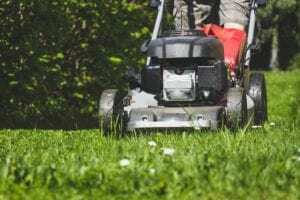 "Grass Cutting"