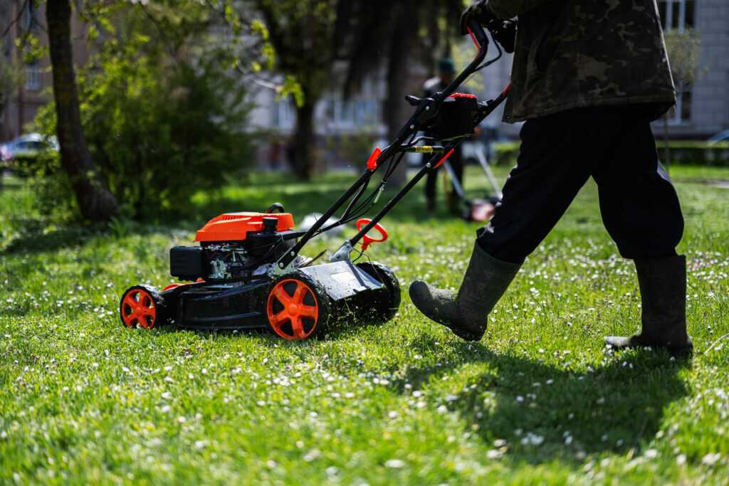 grass cutting services