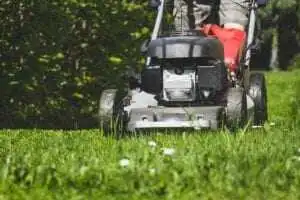 "Grass Cutting"