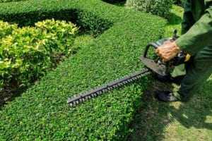 "Hedge Trimming"