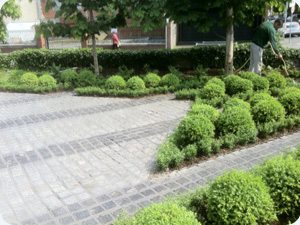 landscaping_garden maintenance_grasshopperservices.ie