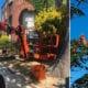 tree surgeon_tree surgery_grasshopperservices.ie