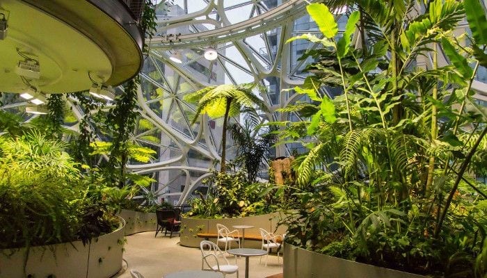 The Office Turns Green Amazon S New Spheres Headquarters In