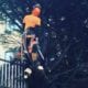 tree surgery_storm damage_grasshopperservices