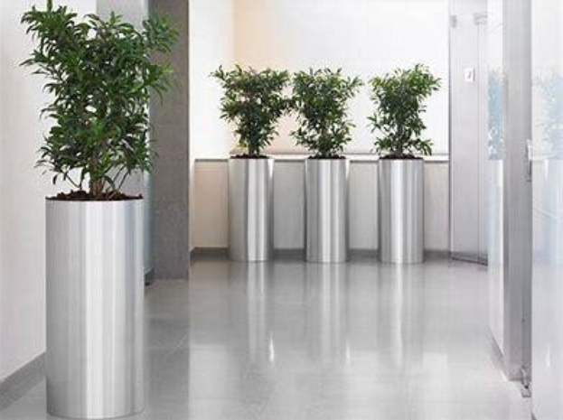 "Oxygen for rent"office plants_Interior plants_grasshopperservices.ie