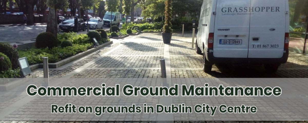 "Commercial Ground Maintenance"