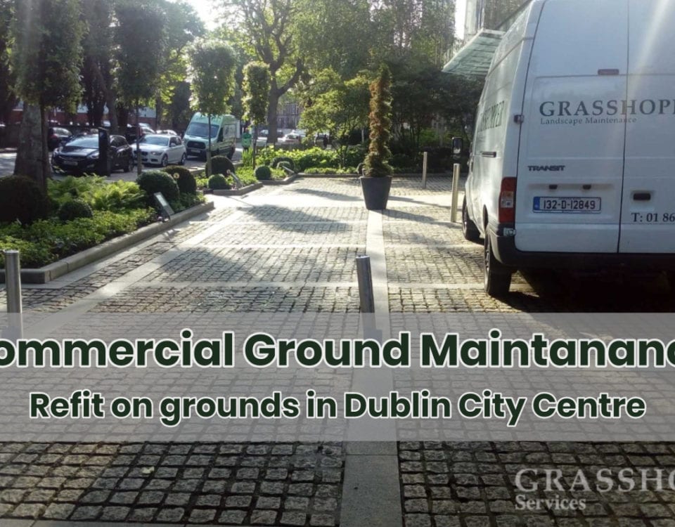 "Commercial Ground Maintenance"